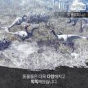 기운찬갈매기69