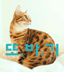 예리한라마카크48