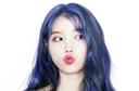 포근한꿀벌118