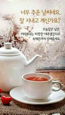 세심한박각시235